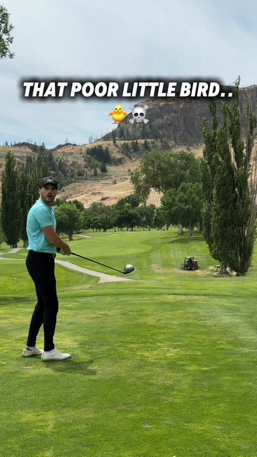 Complete accident and unfortunately I picked the wrong time for a pull cut.. that bird was the victim of such a bad golf shot. Randy Johnson 🫡