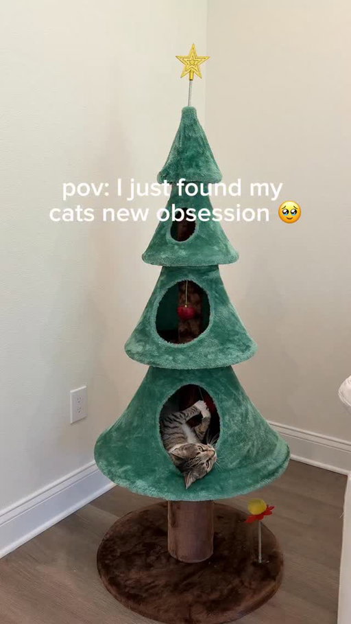 #ad This Christmas-themed cat tree is perfect for the holidays! It keeps your cat entertained for hours, doubles as a scratching post, and features soft, cozy material that makes it the ultimate nap spot.

New APP Users 🔍CODE【dzh2636】in the search bar on Temu or use the link below to get this lightning deal! *T&Cs apply. @shoptemu

https://app.temu.com/k/p7nr6pxqkm2

#temubday #temu #temufinds #shoptemu #petmusthaves #christmastree #cattree