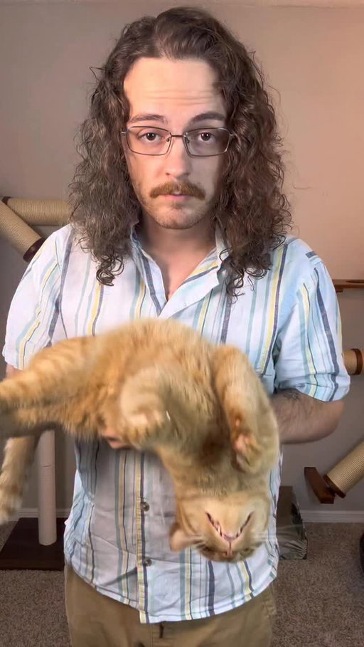 I always get my cats consent.. usually.  VC: @mikemancusi #orangecat #catsofinstagram #orangecatsofinstagram #orangecatbehavior #orangeflavoredcat #cat #catdad #catlovers #orangecatsarethebest #funny