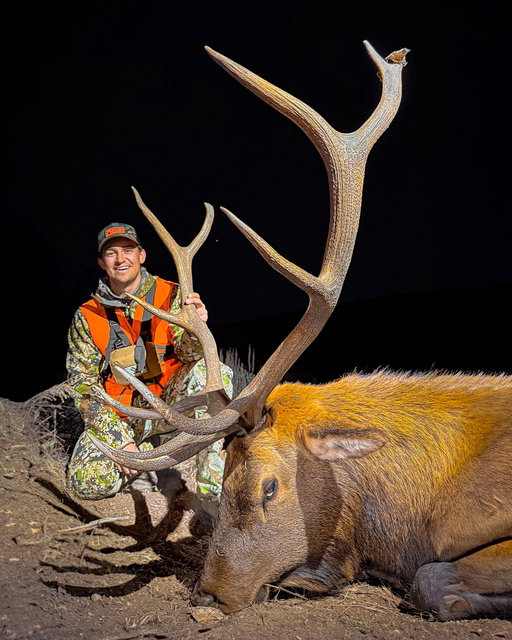 First bull ✅
First bear ✅