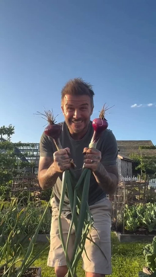 Very happy with some of our produce from this year… 😆 Pumpkins next?? @victoriabeckham 🎃