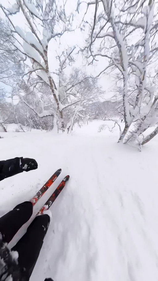 Got an @ikonpass? ❄️ With 9 new destinations across Japan, South Korea, and China, it’s time to book that trip you’ve always talked about…

📍@nisekounited + @furanoski_official

#IkonPass #Ski #Skiing #Powder #Japan