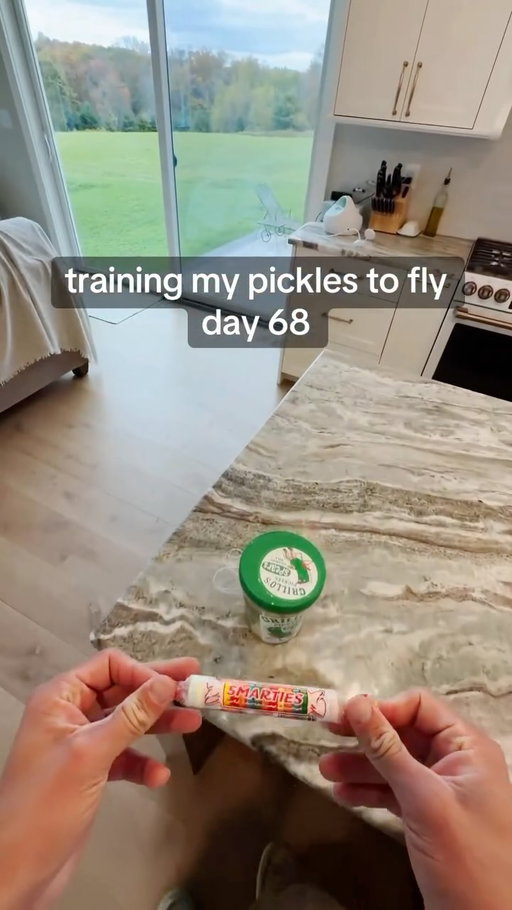 flying pickles?