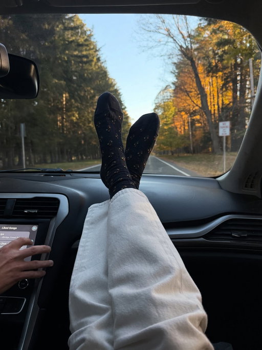 I’ve been in Massachusetts this week and it’s incredible this time of year, just look at the colours, but also look at my socks!!!