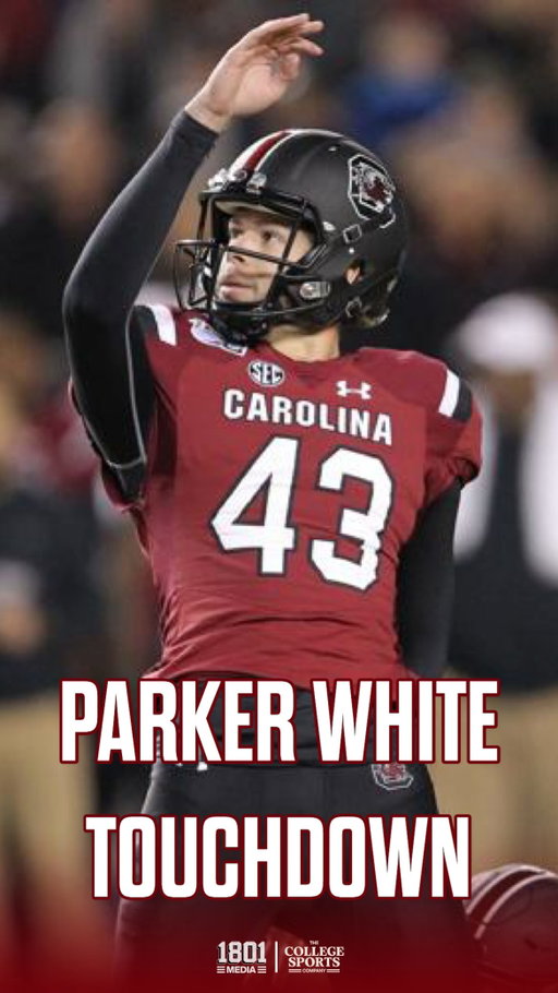 Who remembers when one of the coolest plays in gamecock history was ROBBED from us . Justice for Parker White 😤

•
•
•
•
#SpursUp #Gamecocks #GoCocks #SpursUp🤙 #USC #SouthCarolina #CarolinaGameCocks #CFB #CollegeFootball #NCAA #SEC #Explore #ExplorePage #CollegeFootball25 #FYP #Football #Podcast #Overtime