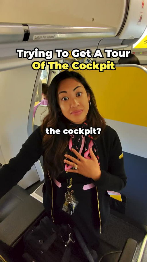Have you been in the cockpit before?
.
.
.
#extrovert #airplane #cockpit
