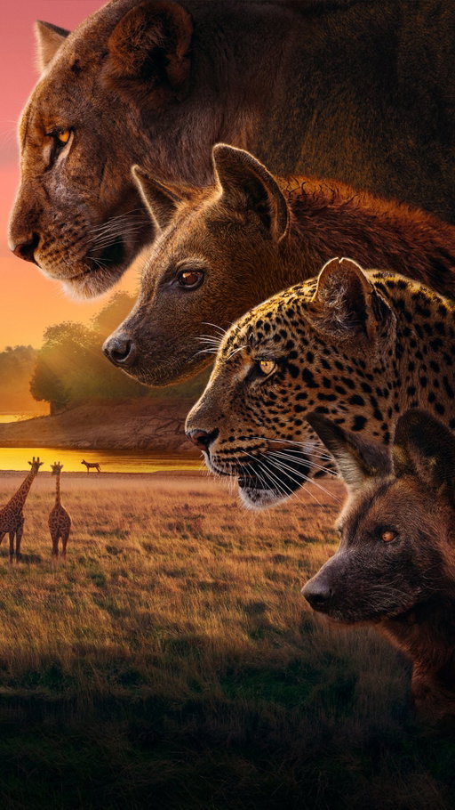 Four families. One paradise. Endless rivalry.
Who will rule the #Kingdom ? 
 
Find out where to watch Kingdom via the link in our bio. 

#KingdomTrailer #SirDavidAttenborough #Zambia #MadeByBBCStudios