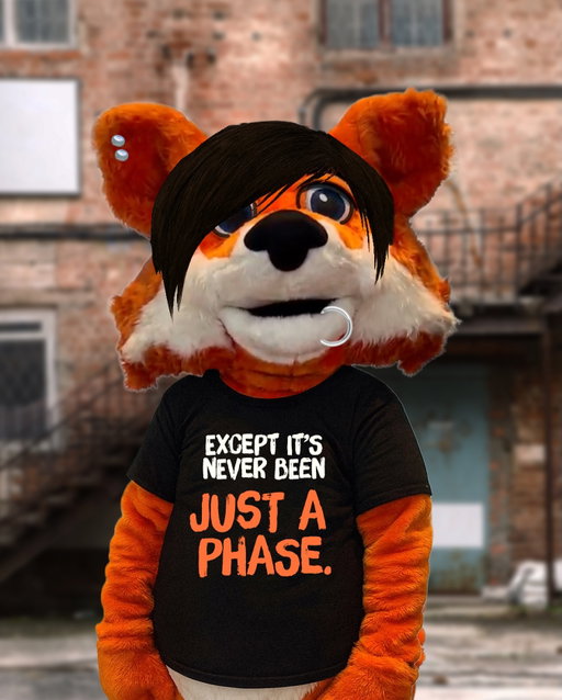 Most people just wouldn’t understand rawr XD #firefox #emo