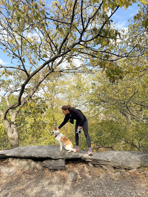 It’s so good to create new good habits 🥹 I’ve started to go on walks with Dalbit around North Woods in Central Park and it has been so good to have some time with nature - this area of the park it’s like a little forest ❤️ and this week I brought my sister and my brother-in-law along and they also loved to explore this “not so popular” area of the park. 

And the Fall shades are the bonus 🍁 

#centralpark #newyorkcity #nyc