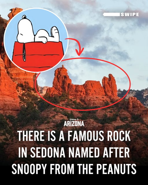 Do you see it? 👀 Snoopy Rock in Sedona looks just like the Peanuts character! Hike 2-3 miles round trip from Marg’s Draw Trail located off Sombart Lane trailhead or enjoy the view from Uptown Sedona. 🌄✨ Tag a friend! 

Credits: @timeless.perspective 

#SnoopyRock #Sedona #WelcomeToArizona #ExploreAZ