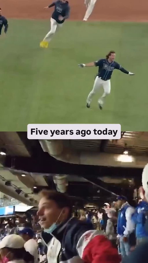 One of the craziest endings in World Series history

#rays #dodgers #mlb #baseball