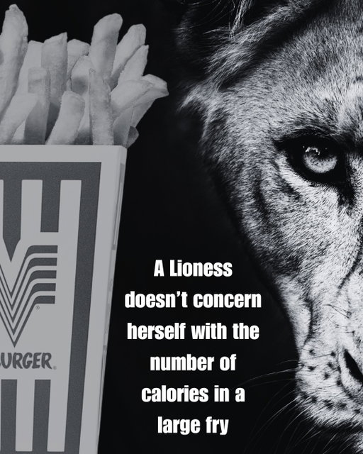 For those who take their meals—and their pride—seriously. 🦁