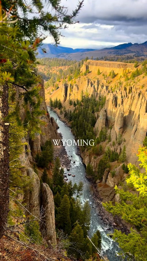 Wyoming is a magical place 🌲🏔️ 

Would you visit here? 

#wyoming #wyominglife #jacksonhole #yellowstone #yellowstonenationalpark #grandtetons #travel #adventure #shotoniphone