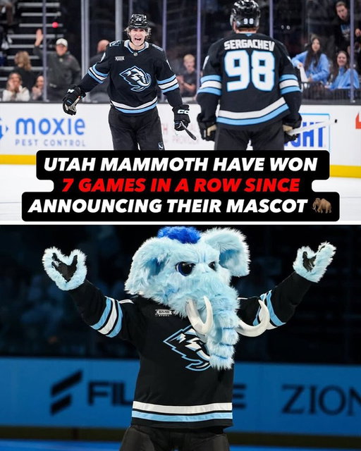 Utah's mascot was born in the W column 🤝 

(📸 @tuskynhl)