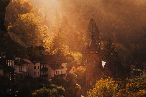 First snap with the new Leica EV-1 in Heidelberg, Germany. What a picturesque storybook town. Beauty! 🇩🇪 

It started raining, but in a very light, misty and sunny way. It almost looked like snow but it made for some really nice texture and bokeh especially with a 90mm. ✨