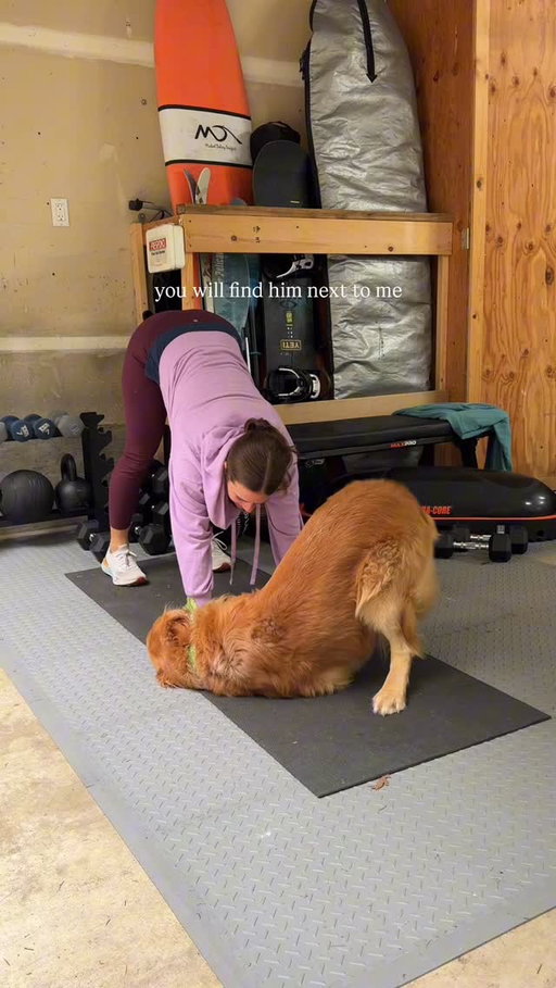 You will find him next to me, like right next to me. But it’s fine cause he’s the cutest little shadow. I thought working out with young kids was hard, turns out dogs are a lot harder. 😅

#nexttome #goldenretriever #dogvideos #golden #dogadoption