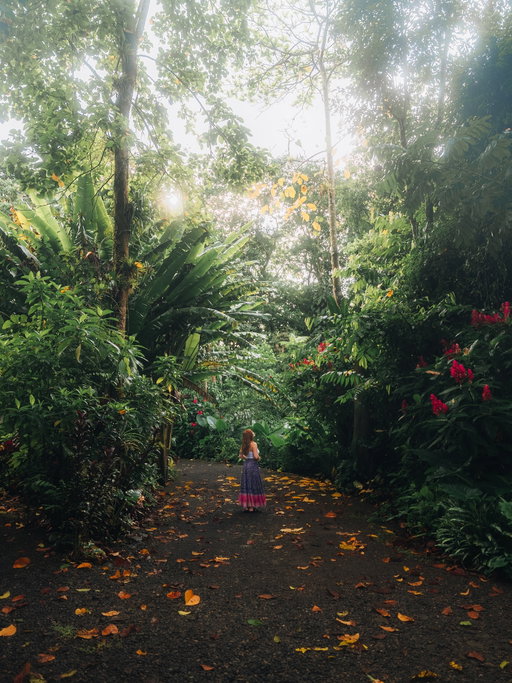 When I first came to Costa Rica in 2023, I knew I’d be back one day, and getting to return so soon felt like picking up right where I left off 🇨🇷

This time, I made my way to the Sarapiquí region and spent a couple of days at Selva Verde Lodge, completely surrounded by nature and wildlife. We spotted the famous red-eyed tree frog, the yellow-throated toucan, and a bunch of other bird species. (If you know me, you know I’m obsessed with birds, so that was a highlight!) 

The jungles here are incredibly biodiverse,  everywhere you look, something’s moving, calling, or fluttering through the trees. 🦜🌿🦋🌺🐸

Then we hopped over to the Caribbean side, where we stayed at Hotel Aguas Claras, literally steps away from Playa Chiquita 🌴🌊 We explored Cahuita National Park, where we got to see howler monkeys swinging through the canopy, it felt like being dropped right into a wildlife documentary 🐒

Costa Rica really has something for every kind of traveler. Whether you’re chasing adventure, wildlife, or just a good dose of sunshine, it’s one of those places that stays with you long after you leave ✨

@visit_costarica 

#EssentialCostaRica #EnergiaPuraVida #OhCostaRica #visitcostarica