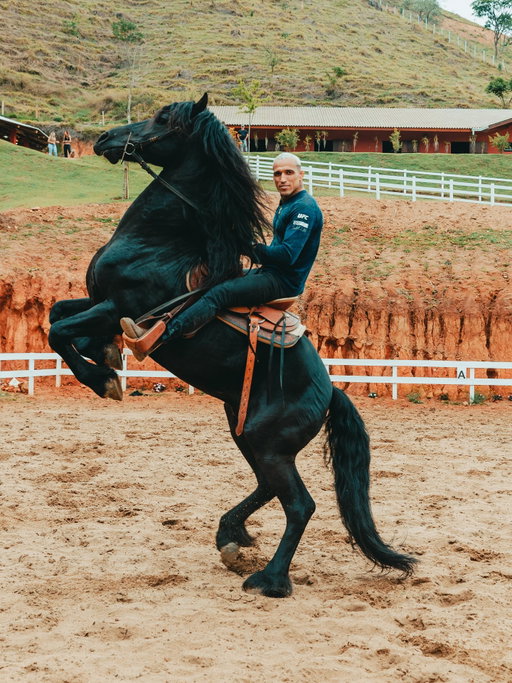 Aonde eu encontro a paz 🤠