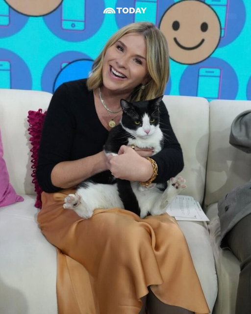Don't mind JBH having her dream day at work, a.k.a. surrounded by cats 😻

@michelladonna, the face of Shop Cats, a bilingual social media series where she interviews cats around New York City in the businesses they call home, surprised JBH with some Shop Cats cuties this morning! #JennaandFriends

📸: TODAY