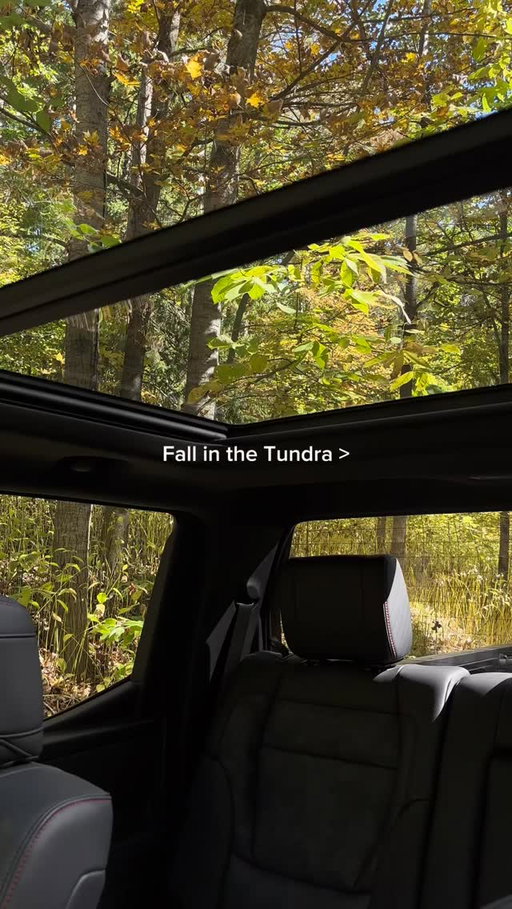 Where has your Toyota taken you this fall?

Où votre Toyota vous a-t-elle emmené cet automne ?