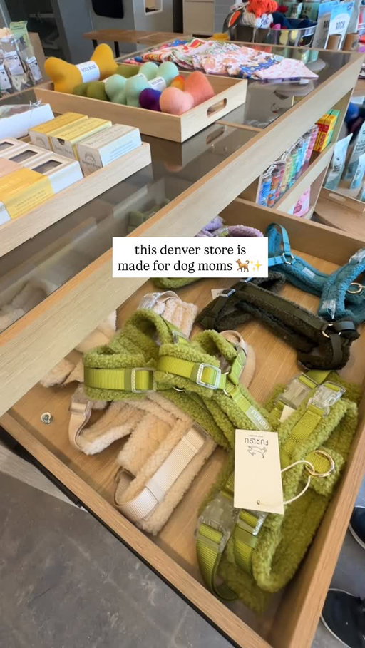 really debated getting Char that dog tag 🐿️🐾 @goodboyjacksco is a one-stop shop for cute gear, wellness products + self-wash stations 🧼 find them in edgewater!

#colorado #denver