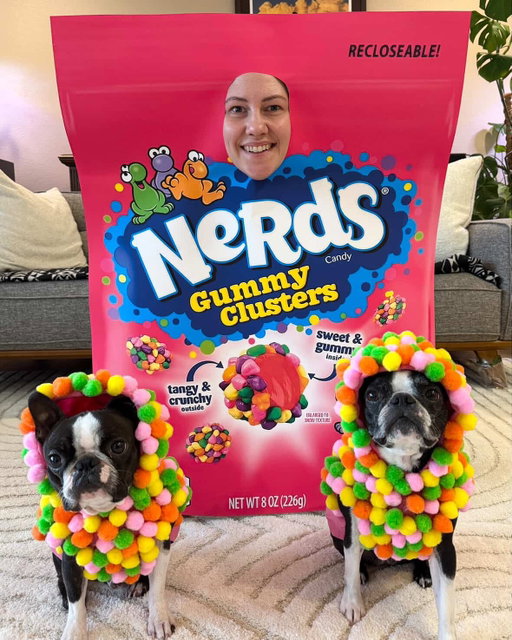 The sweetest costumes around 😍🍬