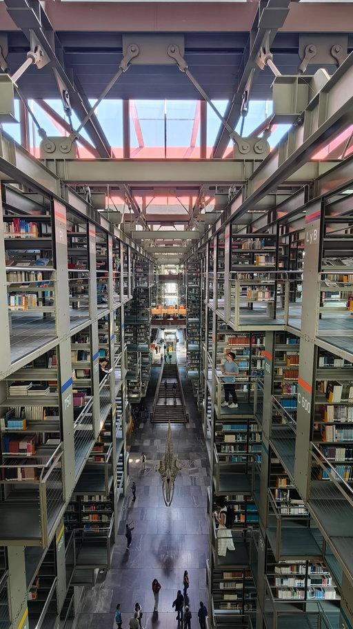 Biblioteca Vasconcelos, Mexico City Shot on OPPO Find X9 Pro. #oppo #oppofindx9pro #mexicocity🇲🇽 #bibliotecavasconcelos