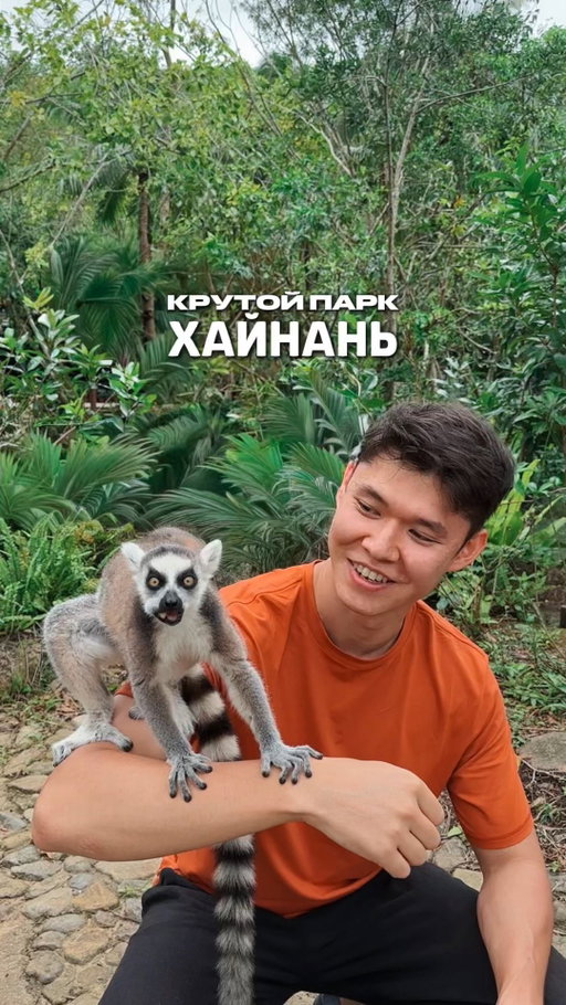Такой вот парк, где густые джунгли, кайфующие капибары и стеклянная платформа встречаются в одном месте 🔥

Если окажешься на Хайнане — выдели день на парк Янода 🙃

📍Yanoda Rainforest Cultural Tourism Zone

Билеты можно бронировать в приложении @trip 📱

Сохрани, чтобы не забыть — и отправь тому, с кем хочешь почесать капибар 🫳🏼

———

#китай #хайнань #янода #путешествие #тревел #тревелблог #азия #экзотика #капибара #лемур #краснаяпанда
