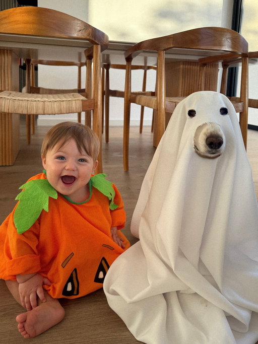 Je peux mourir d’amour pour cette photo !! Ou de peur… ? J’hésite…. Joyeux Halloween 🎃👻