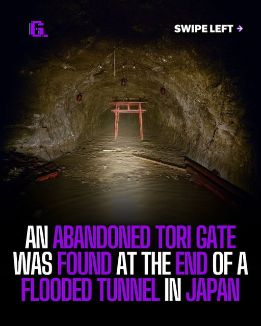 A Torii gate in a flood tunnel was discovered in Japan. These gates are used to mark the entrance to sacred grounds or gods’ territories. 

#creepy #japan #trending #explore