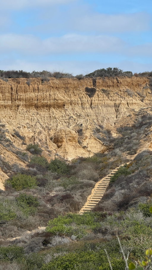 go while you can <3 figured I’d share so no one shows up and can’t go :/ counting down the days til March! They’re doing construction and adding bathrooms/plumbing to the trailheads so that’s a plus at least 

#sandiego #torreypines #sandiegohike