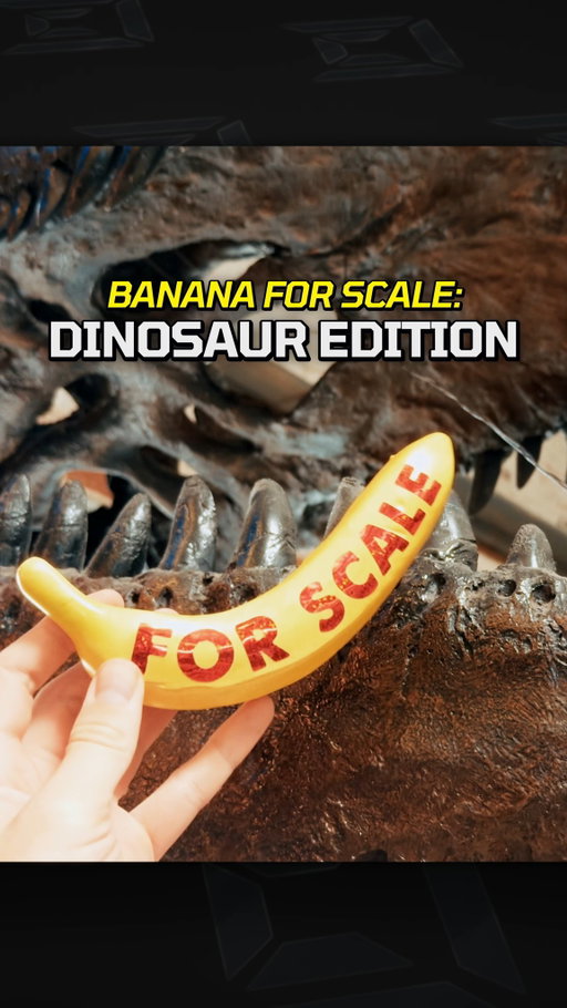 Dinosaurs, but with a BANANA for scale.. Finally, it's possible to understand how big dinosaurs were..

Watch VFX Artist Reveals the True Scale of Dinosaurs on the Corridor Crew YouTube channel. @nvidia.ai.pc @pugetsystems #aionrtx