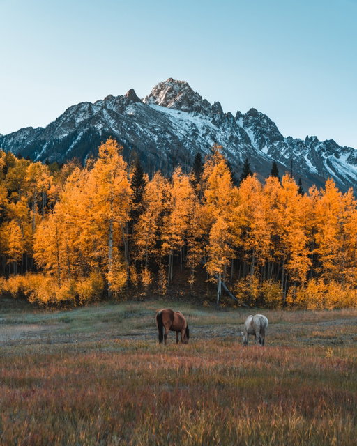 When golden leaves meet snowy peaks, that’s how you know that cozy season has arrived in Colorado! 🍂❄️

📸: @derekrliang