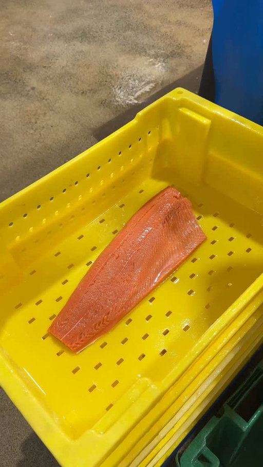 FILLETING A SALMON

A master at work. @stjeans is a seafood cannery based in Nanaimo, BC - they fillet, smoke, and can wild Pacific fish caught right here on the BC coast.

@eatdrinkbuybc 
@stjeans