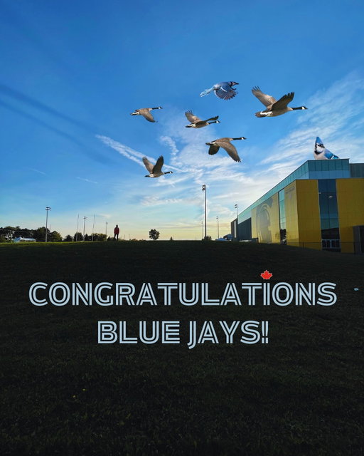 You took us on the ride of a lifetime and came up one win short. Thank you for bringing our country together through determination, passion and perseverance. 👏👏👏 #BlueJays