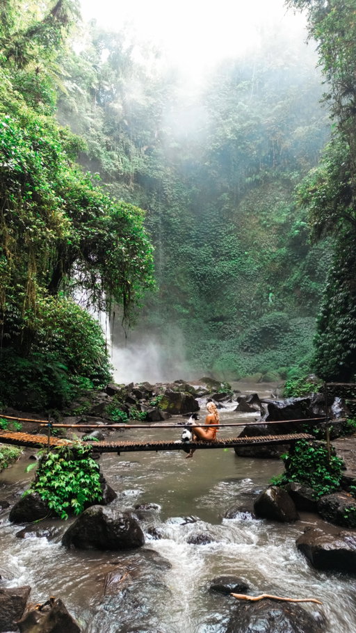 A serene morning guided down 500 steps by a puppy I just met, all the way to this surreal waterfall called Nungnung🍃✨

Waking up at 4:30 is always worth it for these kind of adventures, the sounds of nature, the power of the water falling down and a little friend to share it all with🐶💧 If you come to Bali, I’ve always had this waterfall for myself in the early morning. It’s further out from all the crowds in Ubud and Uluwatu, while it’s still perfectly reachable. Then it’s just the 500 steps down… and the place is all yours 🥰🌴