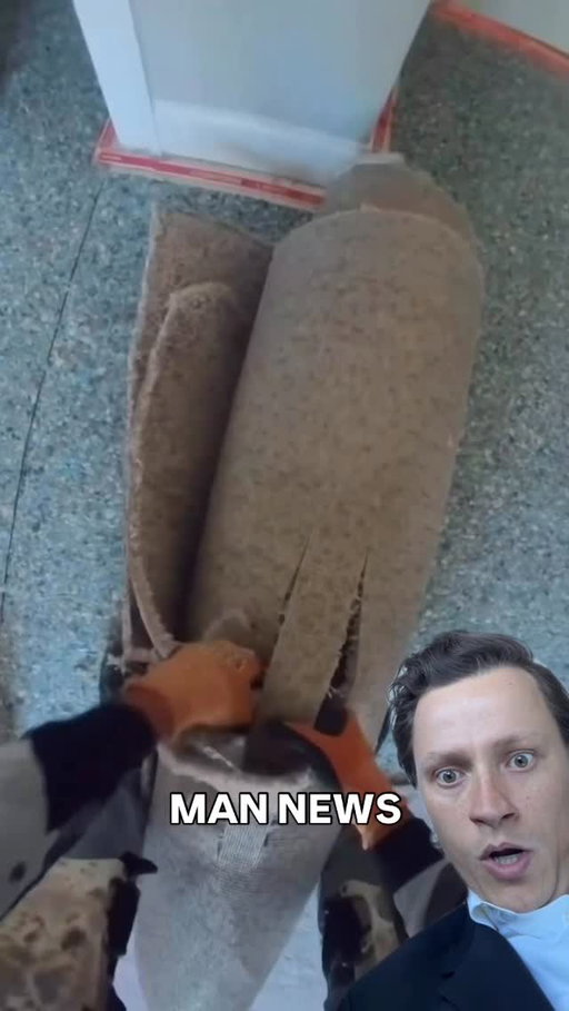 Man discovers carpet removal Lifehack🐐 

via @rubioflooring 

#oddlysatisfying #goat #reaction #homereno #lifehack
