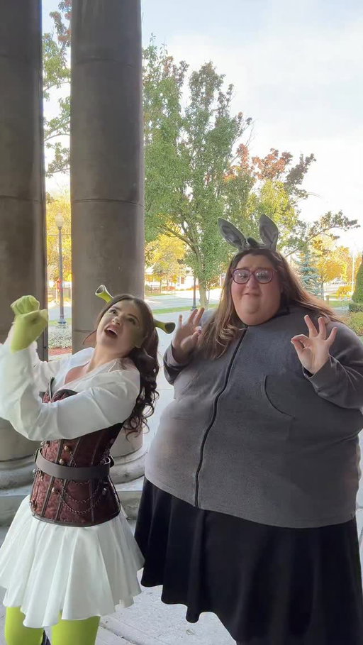 Shrek and donkey on another world wind adventure