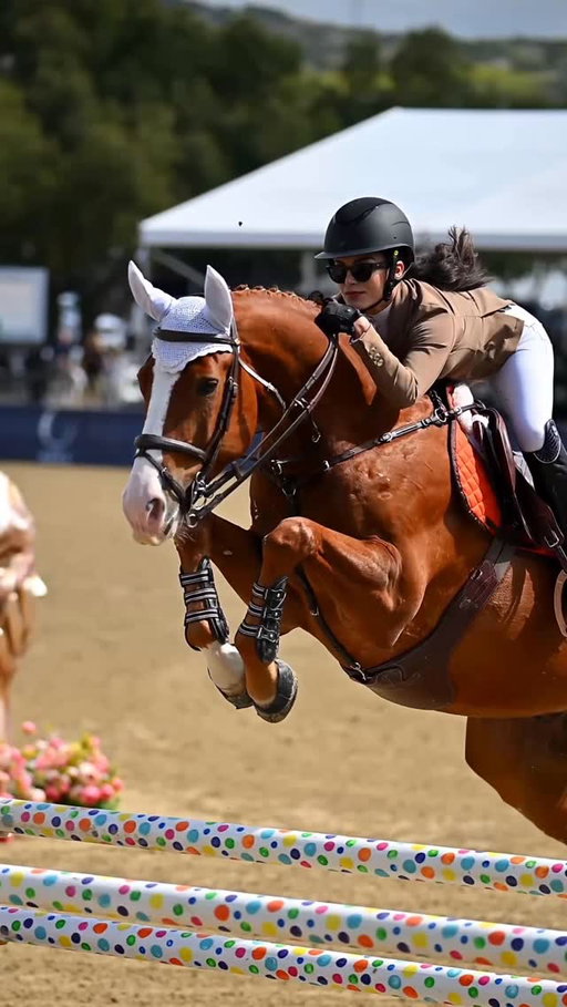 maybe the coolest horse of all time but I could be totally biased 

🧡🍊🦁

also maybe the coolest video thanks to @photography_by_julia_b but I say that about all her work!! I am indeed biased!!

#equestrian #horsegirl #horselover #equestriansofinstagram #horsesofinstagram #equestrianlife #horsebackriding #equestrianstyle #showjumping #horseshow