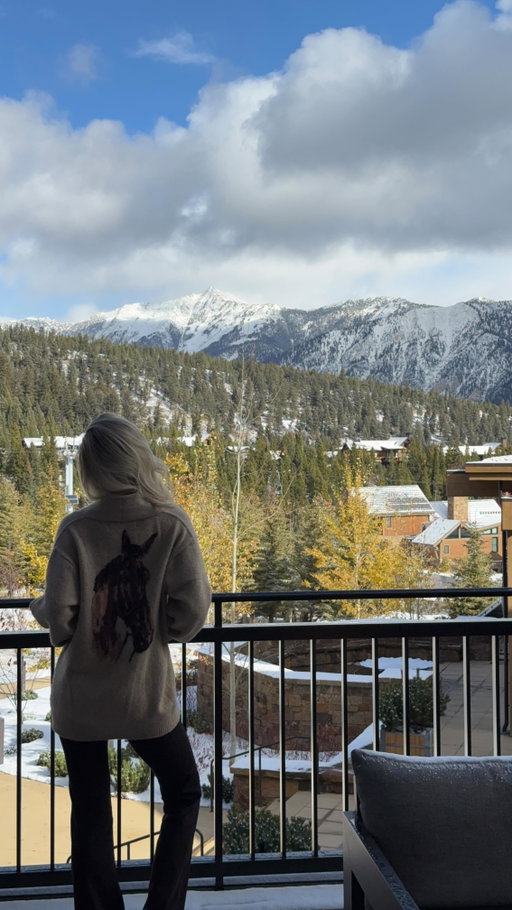 Snow day spent at @montagebigsky @lastbestchalet ❄️🧸🪵