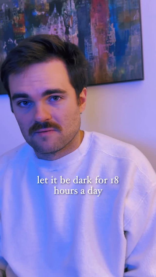 this time of year is when I’m at my best
-
-
#fall #november #darkness #memes #livelaughlove