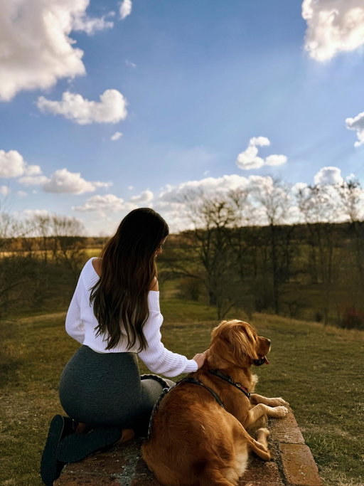 golden love💌

#goldenretriever #goldenretrieversofinstagram #dogmom
#furbaby #goodgirl #chasinglight #nature #momentslikethis