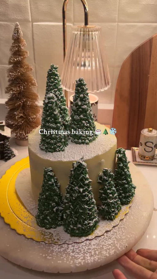 My most favorite cake that I’ve ever made 🍰 🎄