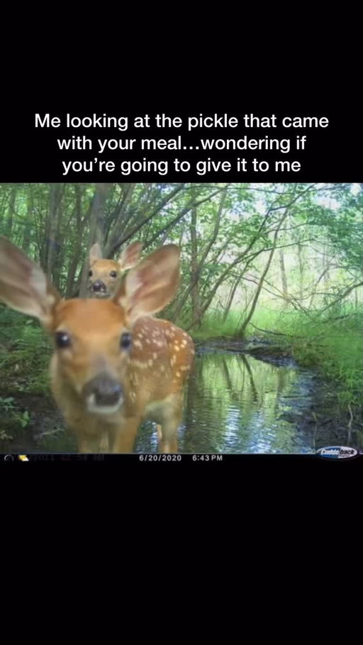 If you’re not going to eat it 👉👈