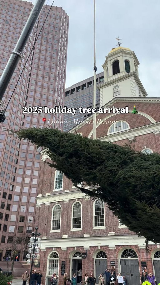 🎄BREAKING💫 A 50-foot spruce just arrived in Quincy Market for the 2025 holiday season ✨🎁 The tree will be lit with over 1 mile of lights and 900 ornaments during an official tree lighting ceremony in just over two weeks 🎊🥳 Enjoy live entertainment, free festive treats, and SO much more 🍪🎅 Details via link in bio 🔗
