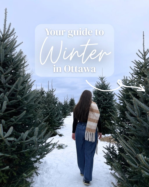 Here’s how to have the best winter in Ottawa ❄️🤍 All the recommendations you need for skiing, skating, cozy cafes, Christmas and more! ⛄️ 

Save and share with a friend ⛸️🌨️ 

#ottawawinter #ottawa #thingstodoinottawa #wintertravel