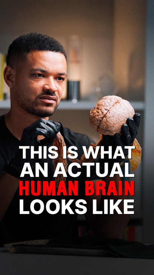 This is what a real human brain looks like.

Comment “Brain” and I’ll personally DM you our conversation.

Dr Jill Taylor brings out an actual human brain complete with the spinal cord and nerves to show the incredible complexity of what makes us who we are.

She explains how every thought, emotion, and movement starts right here.

Have you ever seen a real human brain before?

Credit: Dr Jill Taylor x @thediaryofaceopodcast