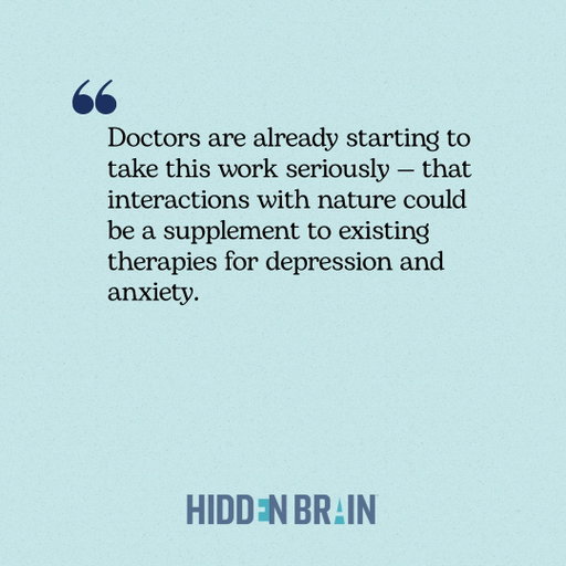 We've known intuitively for centuries that spending time in nature can give us a boost. But it’s only recently that scientists have begun to identify exactly what it is about the outdoors that has such a powerful effect on our mood and our minds. This week, psychologist Marc Berman explores how spending time in nature can actually undo some of the harmful effects of our modern lives.