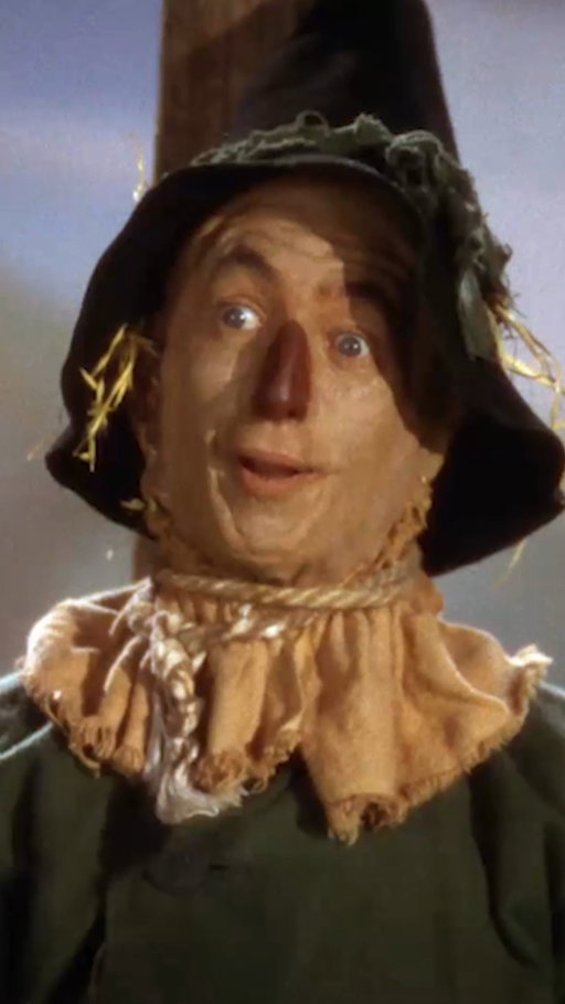 No thoughts, head empty.

See Judy Garland and Ray Bolger in THE WIZARD OF OZ ('39) tomorrow night at 8pm ET.