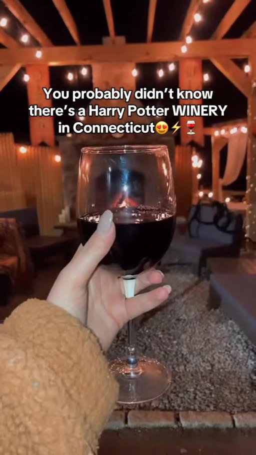 Ever wish you could sip wine at Hogwarts? 🧙‍♀️🍷

I solemnly swear I’m up to no good at Aquila’s Nest Vineyards in Sandy Hook, Connecticut!

This magical spot has:
🔥 A Harry Potter pergola fireplace with all 4 Hogwarts houses
🍇 Wine flights, slushies & hot chocolate wine
🎶 Food trucks + live music every weekend
✨ Perfect mix of fall & holiday vibes — golden sunsets, cozy blankets, and wizard-worthy charm.

Come experience why this is the most-reviewed winery in the state😍 (1,400+ ⭐️)

Book your visit ➡️ aquilasnestvineyards.com

#harrypotter #cttravel #aquilanestvineyards #cozyvibes #winetime #connecticut #newengland #hiddengem #ctwinery #vineyard #platform9¾ #hogwarts